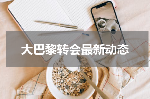 大巴黎转会最新动态
