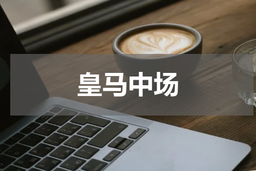 皇马中场