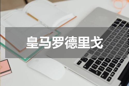 皇马罗德里戈
