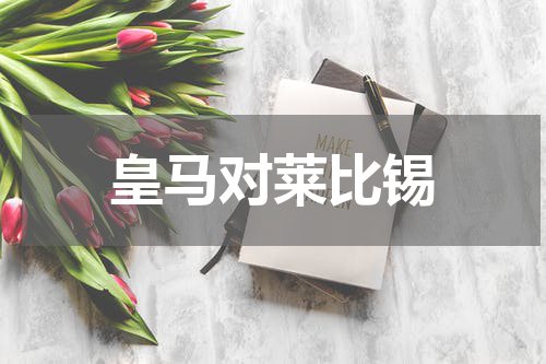 皇马对莱比锡