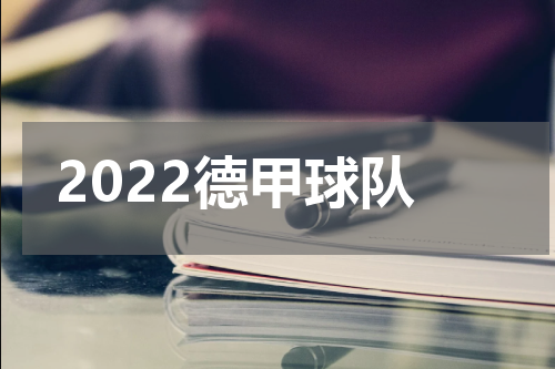 2022德甲球队