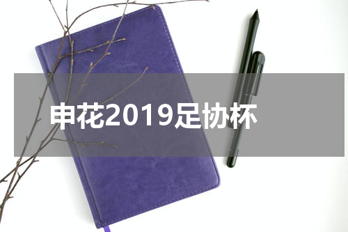 申花2019足协杯