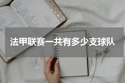 法甲联赛一共有多少支球队