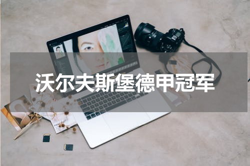 沃尔夫斯堡德甲冠军