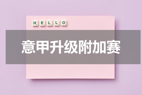 意甲升级附加赛