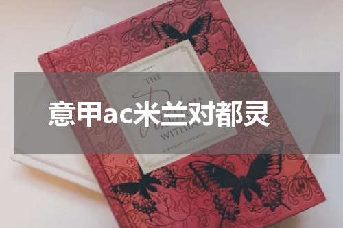 意甲ac米兰对都灵