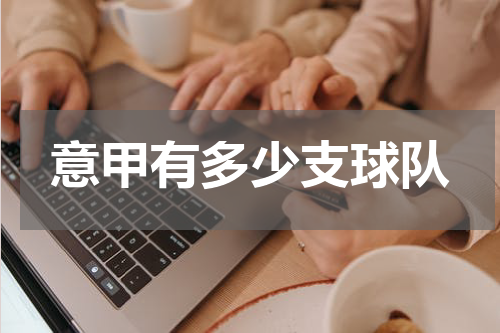意甲有多少支球队