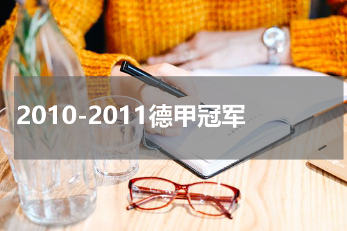 2010-2011德甲冠军