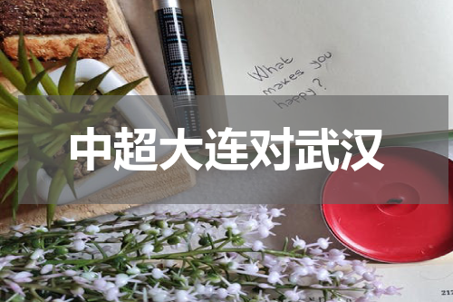 中超大连对武汉