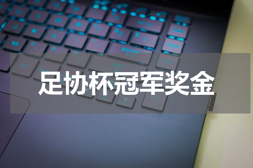 足协杯冠军奖金