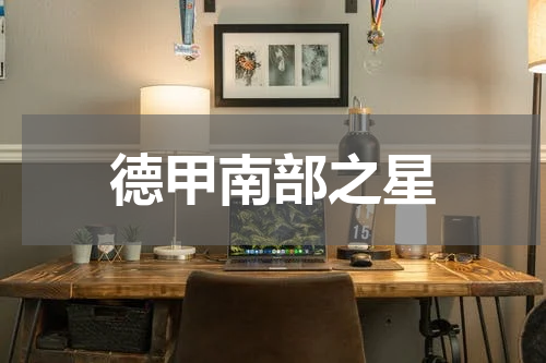 德甲南部之星