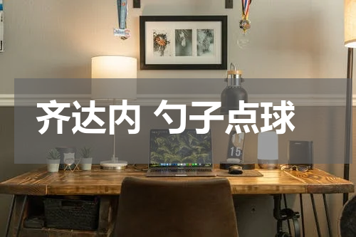 齐达内 勺子点球