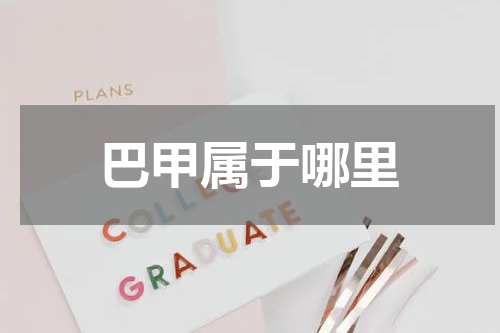 巴甲属于哪里