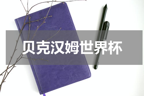 贝克汉姆世界杯