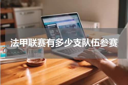 法甲联赛有多少支队伍参赛