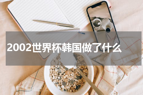 2002世界杯韩国做了什么