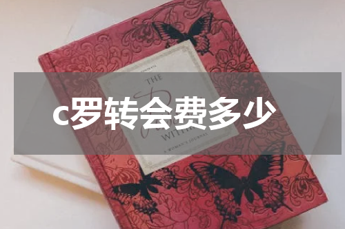 c罗转会费多少