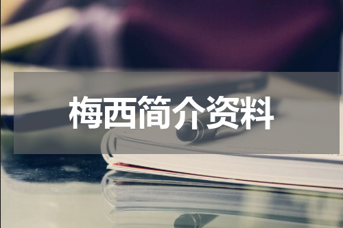梅西简介资料