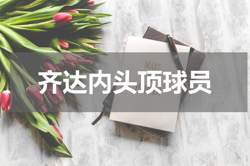 齐达内头顶球员