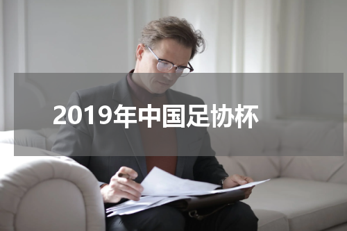 2019年中国足协杯