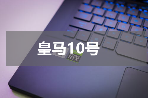 皇马10号