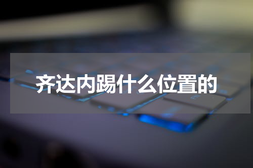 齐达内踢什么位置的