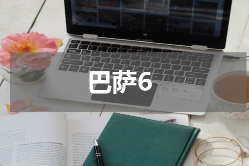 巴萨6