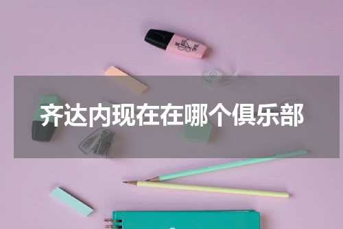 齐达内现在在哪个俱乐部