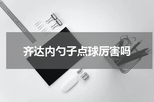 齐达内勺子点球厉害吗