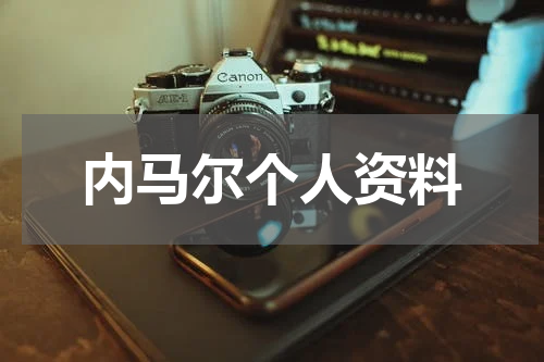 内马尔个人资料