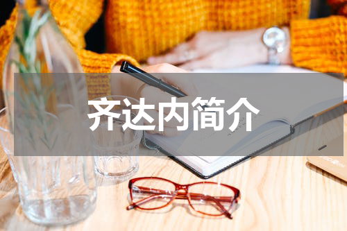 齐达内简介