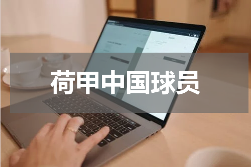 荷甲中国球员