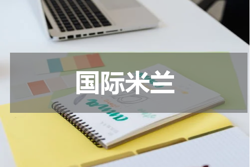 国际米兰