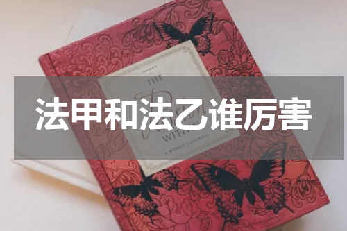 法甲和法乙谁厉害