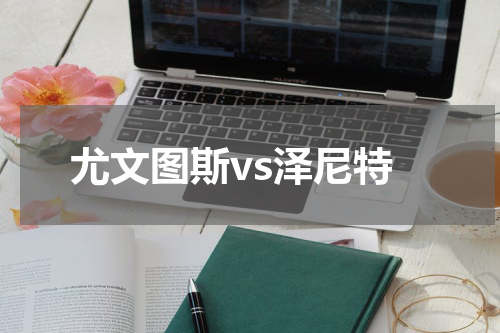 尤文图斯vs泽尼特