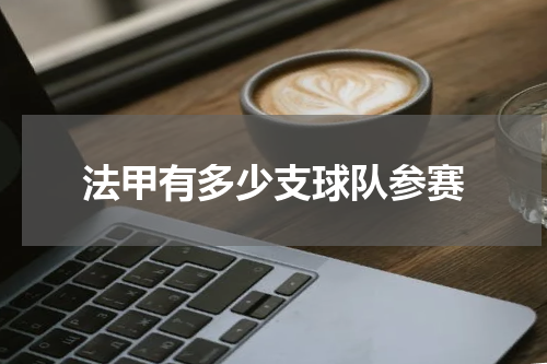 法甲有多少支球队参赛