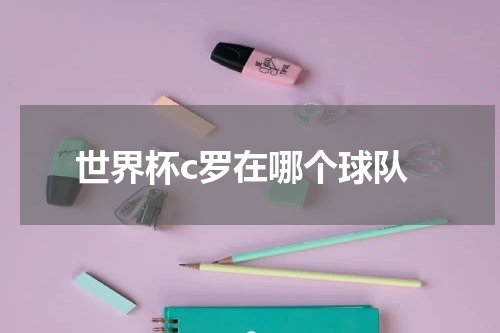 世界杯c罗在哪个球队