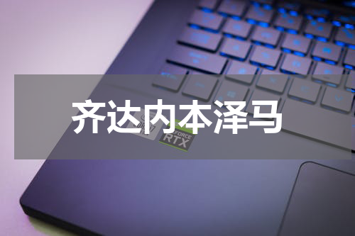 齐达内本泽马