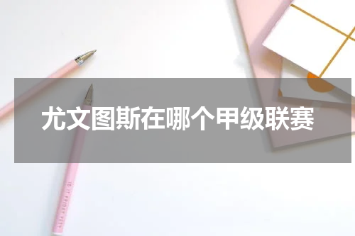 尤文图斯在哪个甲级联赛