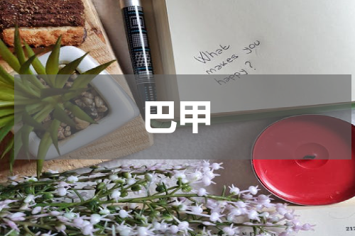巴甲