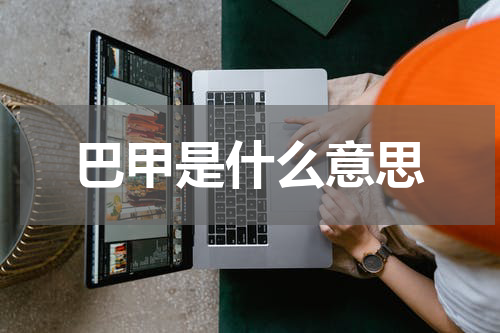 巴甲是什么意思