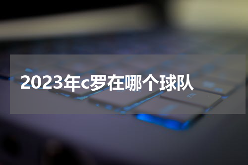 2023年c罗在哪个球队