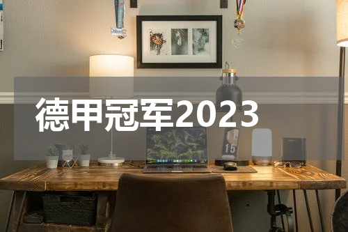德甲冠军2023