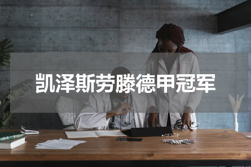 凯泽斯劳滕德甲冠军