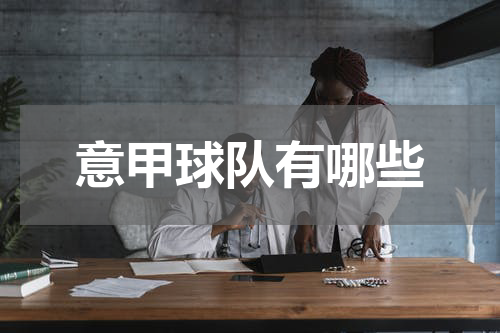 意甲球队有哪些