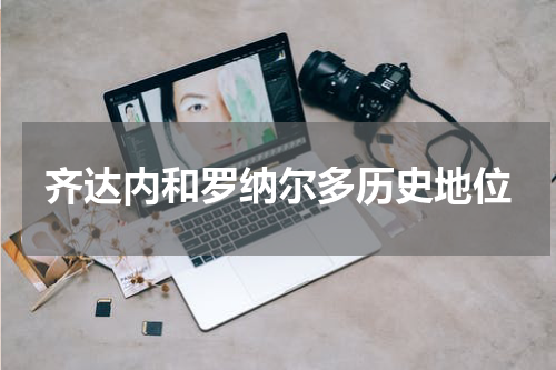 齐达内和罗纳尔多历史地位