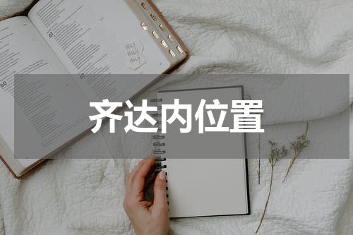 齐达内位置