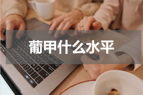 葡甲什么水平