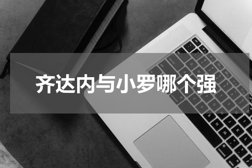 齐达内与小罗哪个强