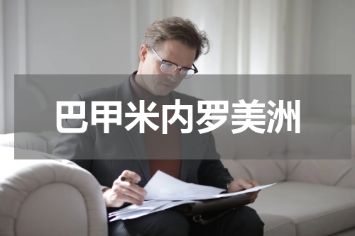 巴甲米内罗美洲